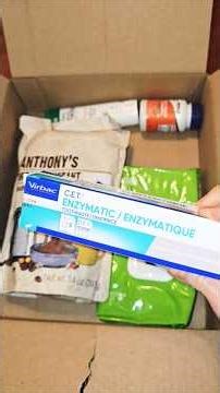 猫の歯を徹底的に綺麗に磨く方法 【アメリカ獣医師推奨 酵素入り歯みがき粉使い方】Repeat buy pet healthcare items and my favorite items ☺️❤️