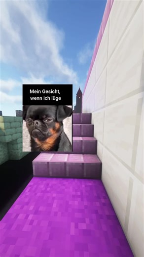 Guckst du Memes? on TikTok