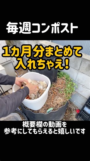 [Introduction] Compost that makes full use of dried food waste #compost #compost #shorts
