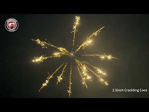 2.5inch Display shell-8 Crackling Coco