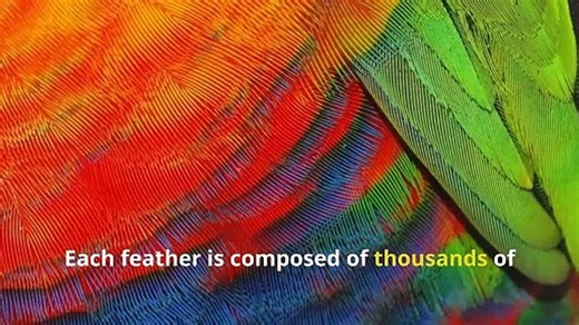 Fun Parrot Facts, Secrets of These Clever and Chatty Birds!