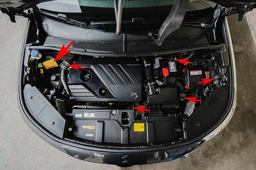 Stop&Go, les protections anti-fouines