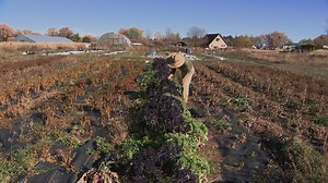 Fact-checking the US Senate debate