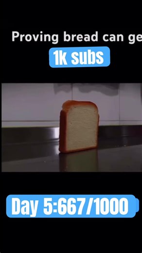 Provinf bread can get 1k subscribers 😂