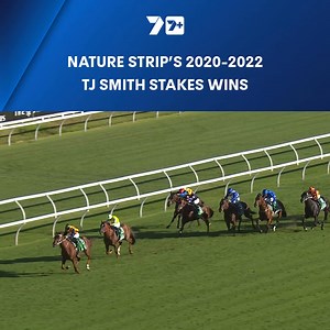 Nature Strip was the TJ king between 2020 to 2022! 👑 Which win of his three-peat was your favourite? | 7HorseRacing