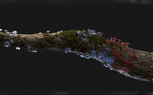 Udemy - Learn Geometry Nodes Animation in Blender几何节点动画【Blender】