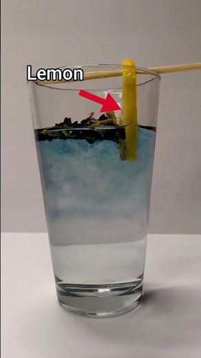 Color Changing Tea! 😲🍵 Butterfly Pea Flower #chemistry #shorts #science