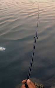 36K views · 367 reactions | വെള്ളത്തിൽവീണ ഉടനെ മീൻ അടിച്ച ജിഗ്ഗ്, #fish #fishing #foshigvideos | Real Life Anglers | Facebook