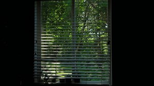 Wide View Sun Shining Through Window Stock Footage Video (100% Royalty-free) 3532154639 | Shutterstock