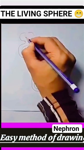সহজ ভাবে নেফ্রন আর্ট করা সিখেনেও 😁😁 for class 9 west bengal board life science😀😀