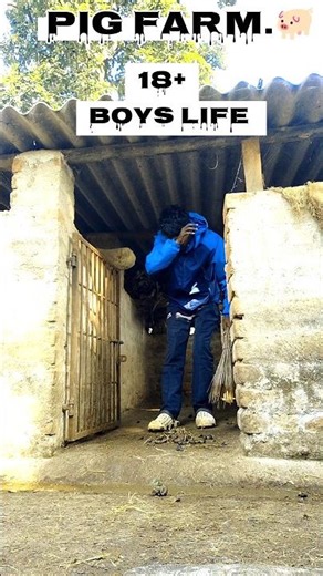 18+boys life, जिम्मेदारी हंसना भूला देती हैं,#shorts #pigfarming #short #trendingshorts