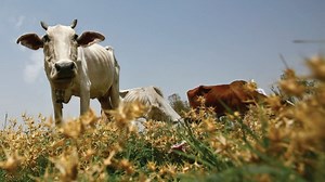 Tech Talk: Shared work spaces | The Jerusalem Post