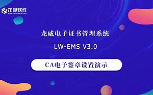 CA电子签章-可信电子证书制作，电子证书系统搭建