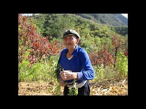 Chinese Rap //Bass Boosted//