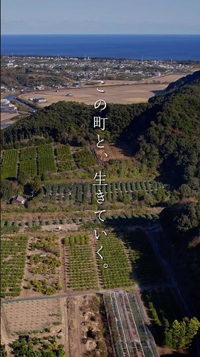 横浜から三重県御浜町に移住して、結婚。この町と、生きていく #地方移住 #移住 #田舎暮らし #地域おこし協力隊 #みかん農家 #みかん農業 #就農 #みかん就農 #新規就農