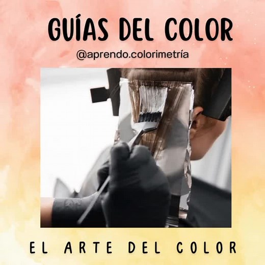 Descubre el arte de la Colorimetría Capilar en tres guías exclusivas