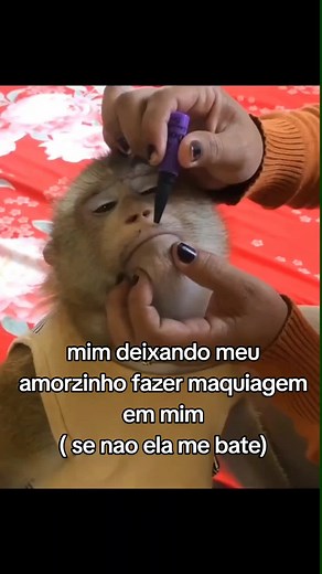 Macaca Maquiada: Deixando Meu Amorzinho Fazer Maquiagem em Mim