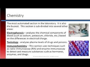 Phlebotomy Lesson 1.6 Clinical Lab Sections
