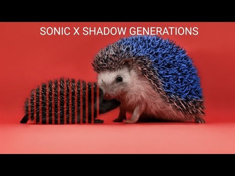 Modern Sonic Games Explained by GIFs