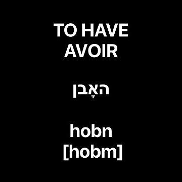 BASIC YIDDISH GRAMMAR: the verb TO HAVE / le verbe AVOIR