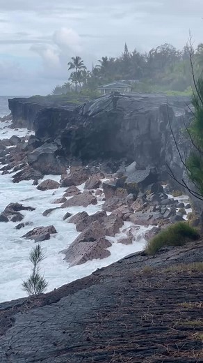 3 comments | Lunch break at the Ocean #hawaii #ocean #waves | Hale Koa Tropicals | Facebook