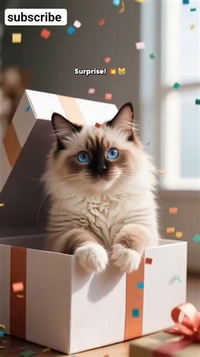 Cat’s Pop-Up Surprise Box 🎁😹#shorts #viral