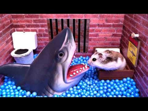 Best Pet Escapes. 🦈 Shark Encounter ! The Epic Trilogy