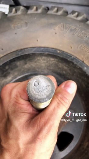 Tyler Taught Me on TikTok