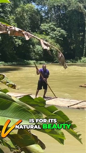 🌴✨ One of the best reasons to visit Jamaica is its breathtaking natural beauty. 🇯🇲 We experienced the magic of rafting along the serene Martha Brae River in Trelawny — a true slice of paradise! 🌊💚 🌐 Watch the full adventure on CaribVibeTV.com #CaribVibeTV #VisitJamaica #MarthaBraeRiver #IslandVibes #CaribbeanTravel #Trelawny #explorejamaica | Caribvibetv