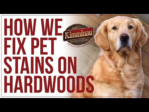 Pet Stains on Hardwoods, how we fix them!