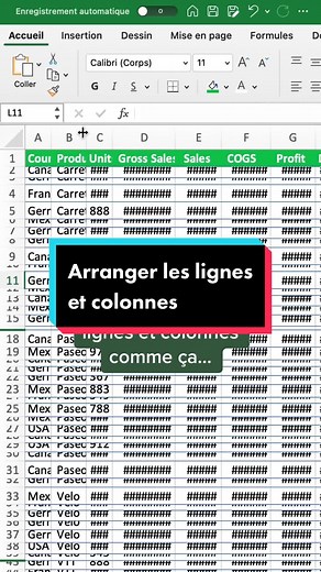 Comment arranger les lignes et colonnes rapidement sur Excel? #astuceexcel #excelfrancais #apprendreexcel #raccourci