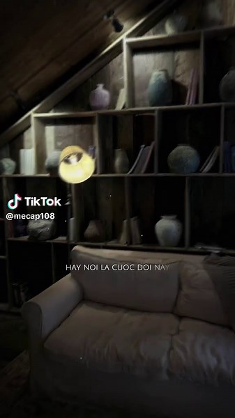 mecap trên TikTok