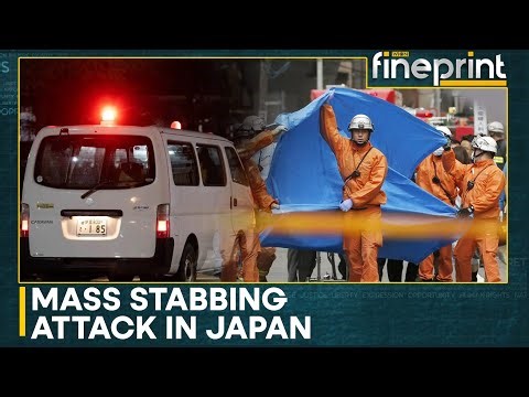Japan: 15 Injured In Mass Stabbing Attack At Rubber Factory | WION Fineprint
