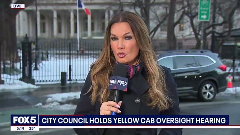 NYC Council reviews taxi industry