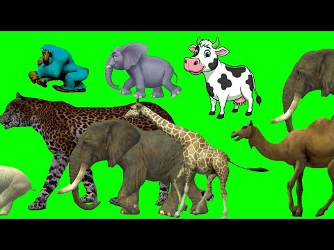 Cartoon animal stampede crossover