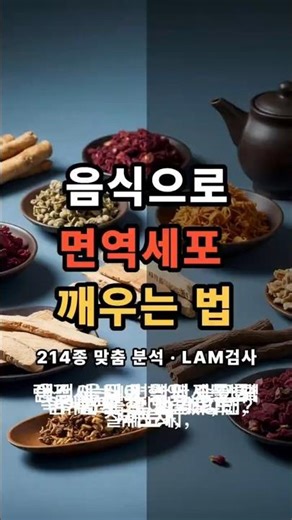 음식으로 면역세포 깨우는 법 #면역력강화 #면역력에좋은음식