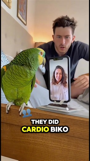 320K views · 6.1K reactions | The girlfriend just wanted to say hi… But the parrot said “let me ruin his entire life real quick.” 藍 Funniest video call ever! #SavageParrot #FunnyReels #TalkingParrot #RelationshipComedy #BirdReels #ViralReels #LOL #AnimalComedy | Savage Parrot | Facebook