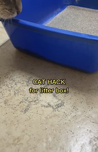 Watch Cat hack! Reduce messy litter in your house! #littermat #cat on Amazon Live