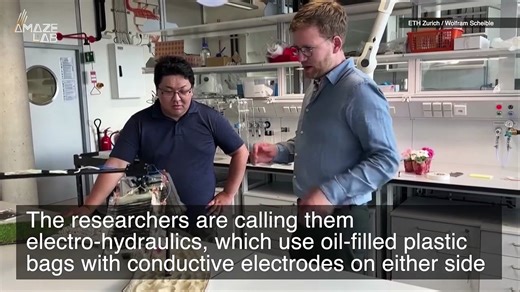 The Locomotion of Future Robots Could Be Helped By This Artificial Muscle