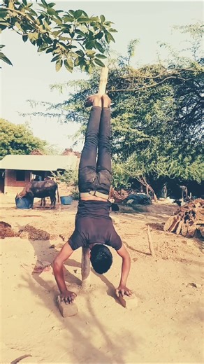 Try this handstand tutorial #calisthenics #handstand #hspu#shorts