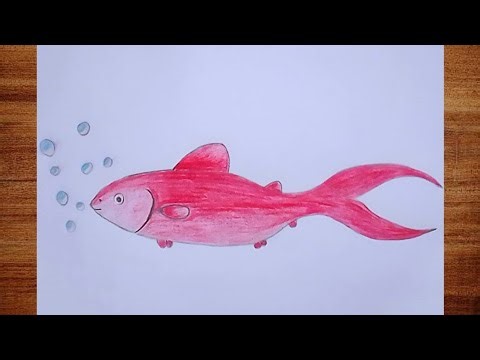 How to Draw a Redfish | Easy Step-by-Step Drawing Tutorial