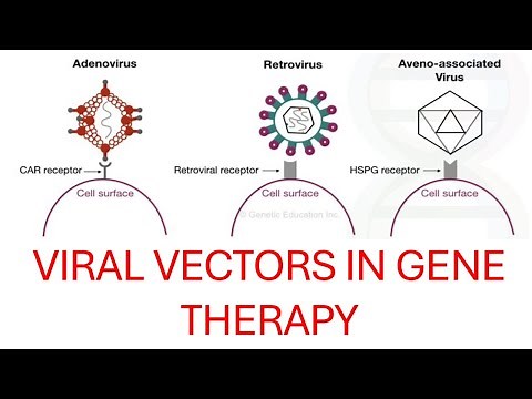 Viral Vectors in Gene Therapy Explained: Adenovirus, Retrovirus, Lentivirus & HSV
