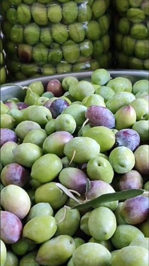 👉IT IS VERY EASY TO MAKE GREEN OLIVES AT HOME 📢#greenolives