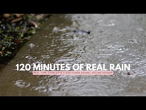 120 Minutes of Rain: Real-Time Charlotte Flash Flood Sound | Velura Sounds