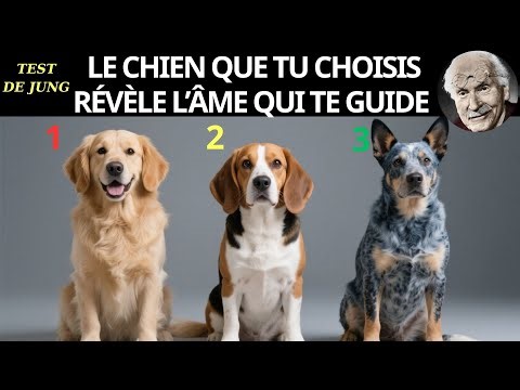 Le chien que tu choisis révèle l’âme qui te guide Test psychologique Jung