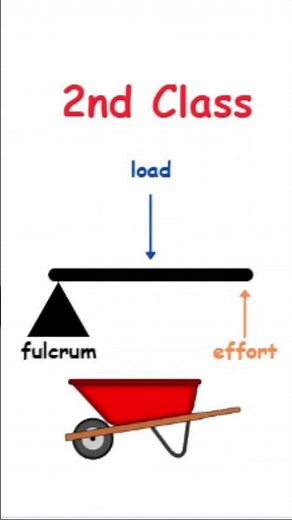 What are 2nd Class Levers?