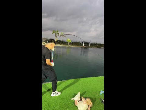 Magic fish broke the spell ✨ | 황당한낚시 | おもしろ釣り