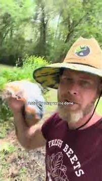 The bird seed is the word! Sunflowers from bird seed are easy to grow and fun and you might feed a