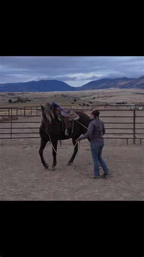 Ground Work Exercises for Preparing Your Horse