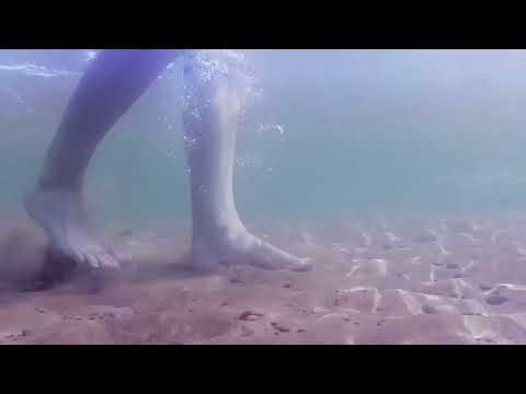 The Great Flood: Archaeological Evidence They Don’t Talk About